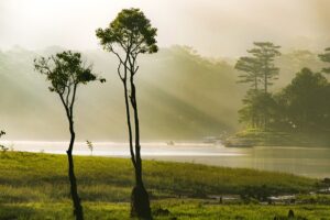 G594b873fc2f500fe2b47441a23dcd17a1773e317340905db6f7ac4b5f330543e6aa7031972eb7916df60ab5e8c0ab88ca2c7b6694bff38f8a60b2c8ed4092576 640