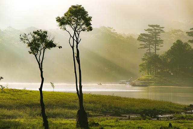 G594b873fc2f500fe2b47441a23dcd17a1773e317340905db6f7ac4b5f330543e6aa7031972eb7916df60ab5e8c0ab88ca2c7b6694bff38f8a60b2c8ed4092576 640