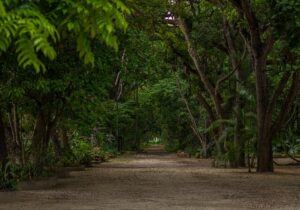 G92fdf08424b373c4130e9ab85b7c9cc7999ff268b86f7ef97b30ba07c23a65ac7034647d01e44254ba9d21ebed326383da33e1f3ce34b769780ff64df5be19ed 640